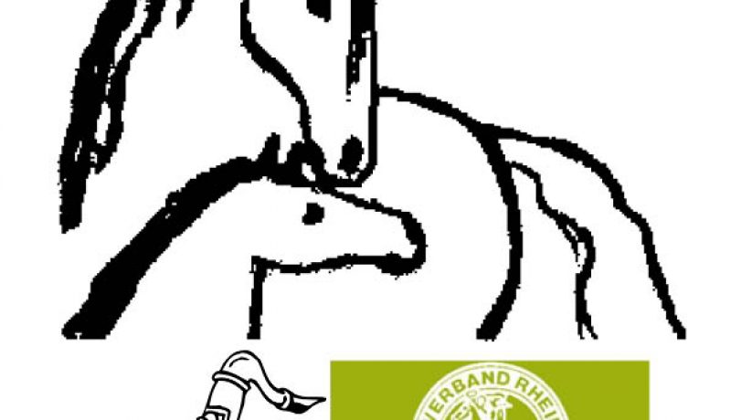 pferdegodi 2017-für homepage