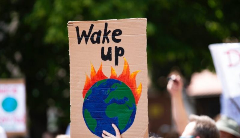 markus-spiske-tyfI3RGqL7Y-unsplash